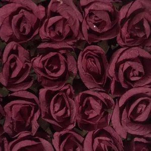 Meet your Posher, Karla